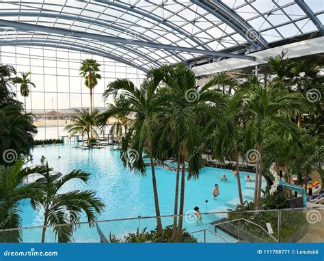 Therme Bucharest Palm Zone Top View Editorial Photo Image Of