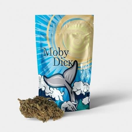 Outdoor GB CBD Moby Dick Flowers GB The Green Brand