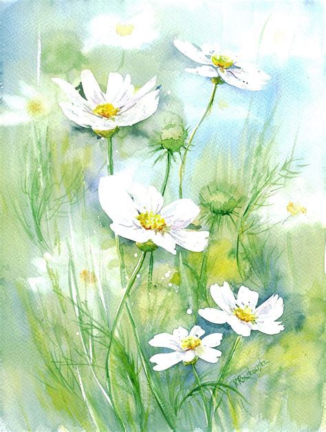 Białe kosmosy Maria Roszkowska WATERCOLOR Watercolor flowers