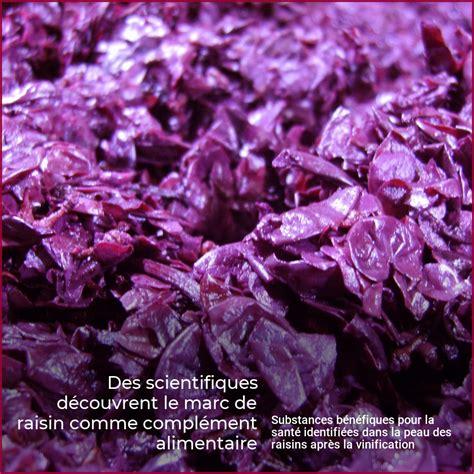 Des scientifiques découvrent le marc de raisin comme complément