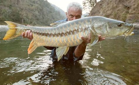 Jeremy Wade Married Wiki Bio Net Worth Age