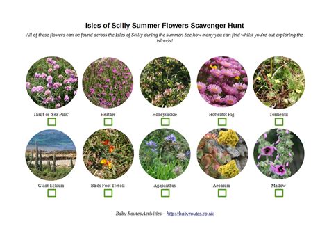 Wildlife Wednesday: Isles of Scilly Flower Scavenger Hunt - Baby Routes