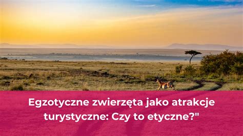 Egzotyczne Zwierz Ta Jako Atrakcje Turystyczne Czy To Etyczne Hostel