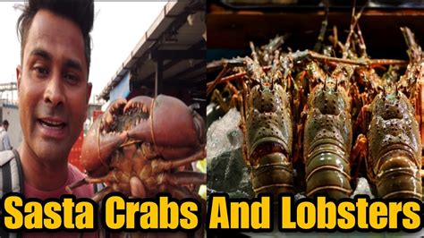 Biggest Crabs And Lobster Market In Mumbai Saste Crabs Aur Lobster