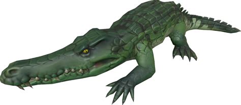 Crocodile - The RuneScape Wiki