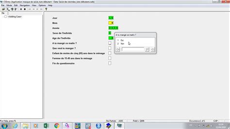 Comment saisir les données dans un masque de saisie avec CSPro YouTube