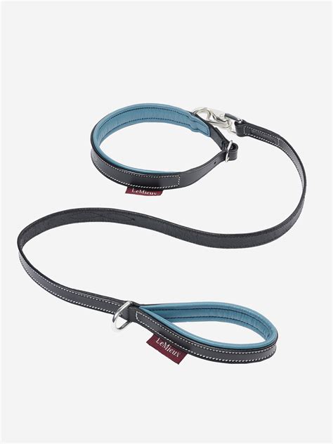 Toy Puppy Collar & Lead Ice Blue/Black Toys