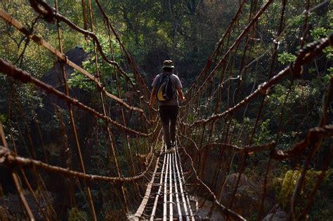 Living Root Bridges, India - Infy world