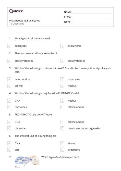 50 Prokaryotes And Eukaryotes Worksheets On Quizizz Free And Printable