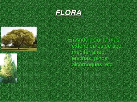 Flora Y Fauna De Andaluc A Por Sergio Y Dani Ppt