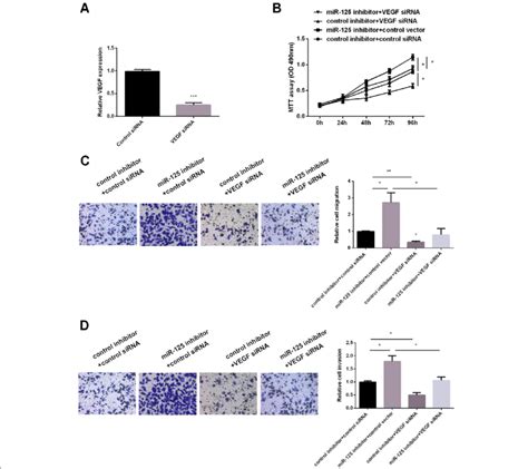 Vegf Effect On Cc Progression Regulated By Mir A Low Expression Of