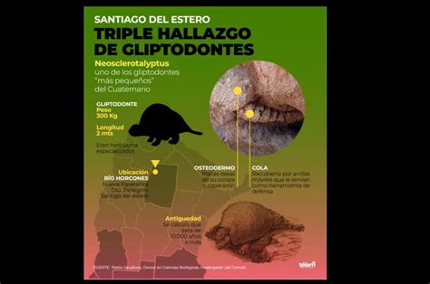 Hallan Restos De Gliptodontes De Una Especie Que A N No Se Ten A