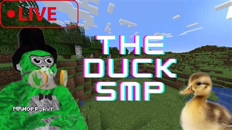 Playing On The Duck Smp Minecraft Server Youtube