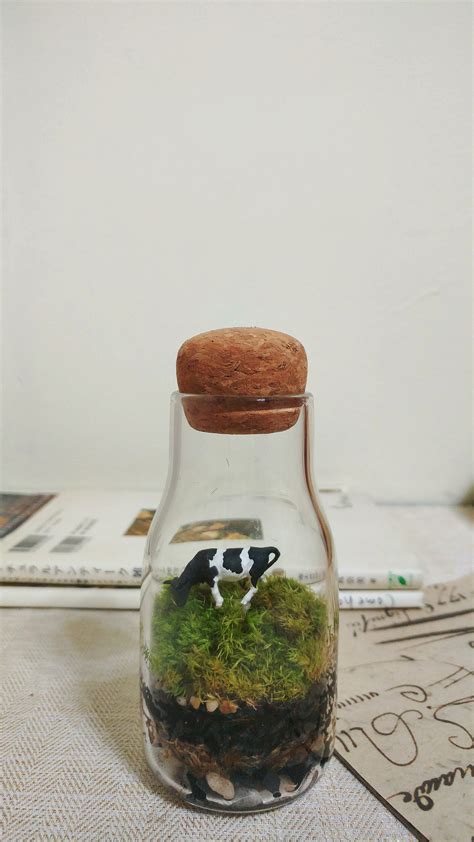 Glass Milk Bottle Terrarium