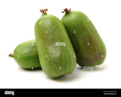 mini kiwi baby fruit (actinidia arguta) on white background Stock Photo - Alamy