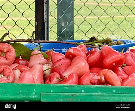 SriLankan fruits, Tropical, Visit Sri Lanka Stock Photo - Alamy