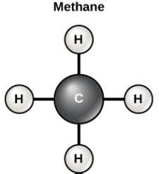 Carbon And Carbon Bonding Biology For Non Majors I