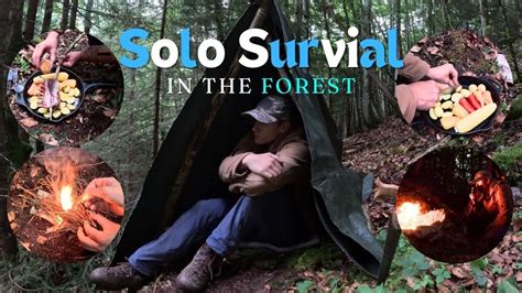 2 Days Solo Camping Survival In The Forest Building A Shelter By Wood And Grass Cooking In The