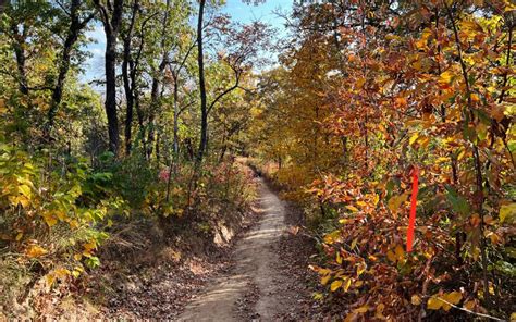 Guide To Visiting Indian Cave Nebraska’s “ozarks” Oh My Omaha