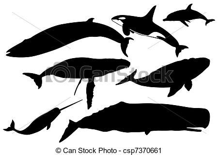 grampus clipart   cliparts  images  clipground