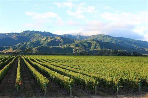 Best Marlborough Wineries For Families