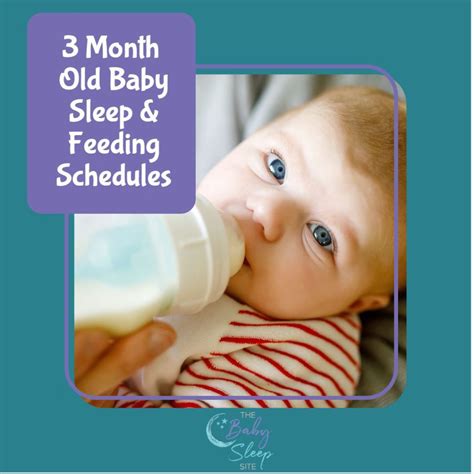 2 Month Old Baby Schedule | Sample Schedules | Baby Sleep Site