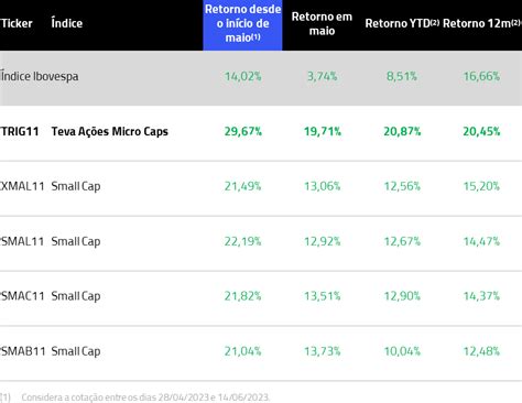 Investindo Em ETFs De Micro E Small Caps Analisando O Desempenho Do