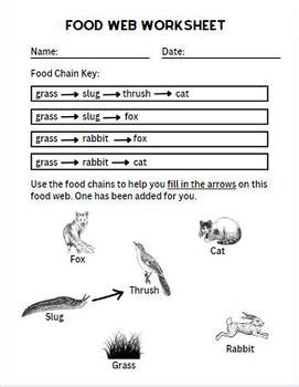 Food Web Worksheet by Mrs Barnards Creations | TPT