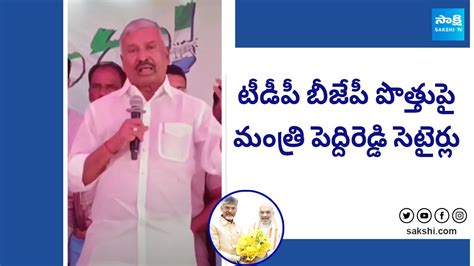 Minister Peddireddy Ramachandra Reddy About TDP BJP Alliance