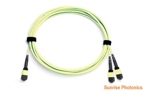 Mpo Mtp To X Mpo Mtp Os Single Mode Conversion Harness Cable