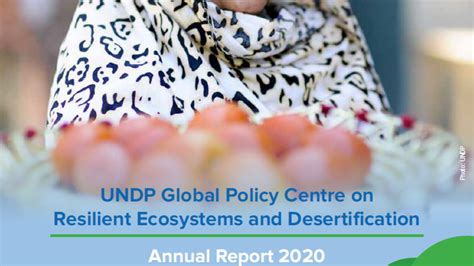 Undp Global Policy Centre On Resilient Ecosystems And Desertification