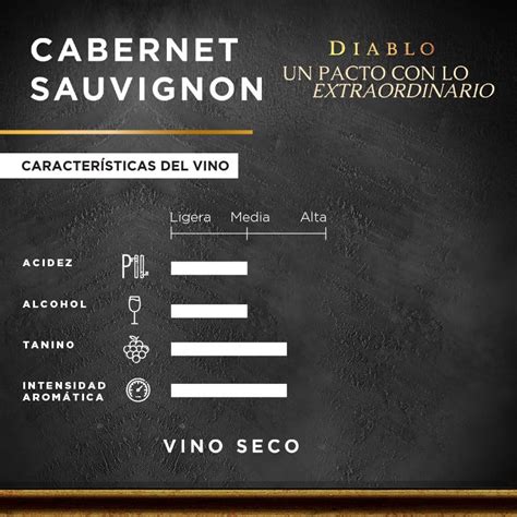 Diablo Black Cabernet Sauvignon 750 Ml Vino Tinto