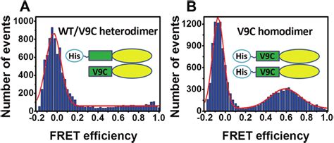 Comparison Of Fret Signal Of Hetero And Homo Dimeric Ure2 Download Scientific Diagram