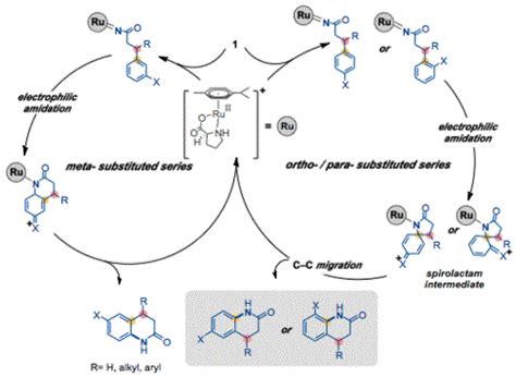 Ruthenium Catalyzed Intramolecular Arene C Sp H Amidation For