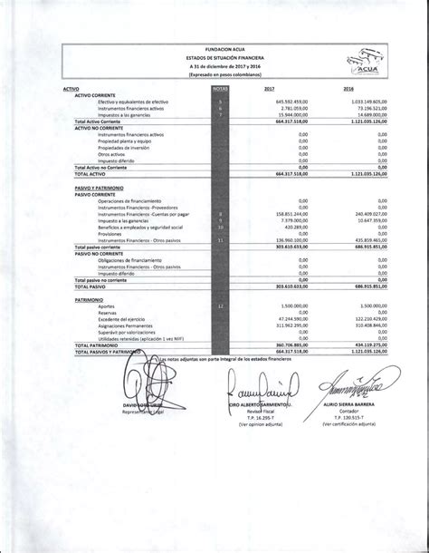 Estados Financieros 2017 Pdf