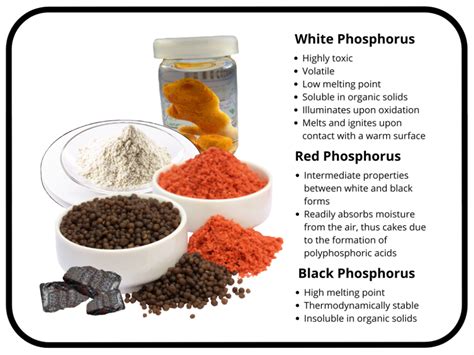 Phosphorus Types Explained