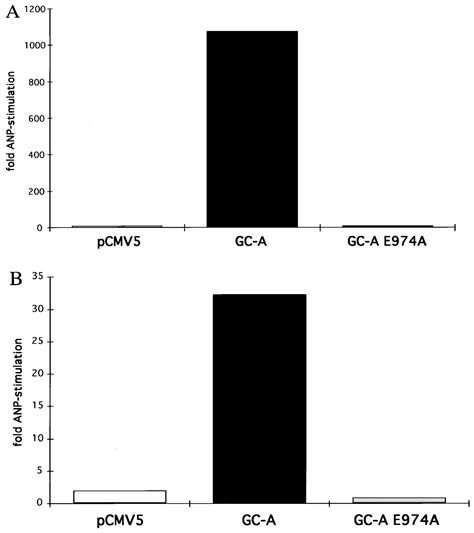 A Mutation Of The Atrial Natriuretic Peptide Guanylyl Cyclase A