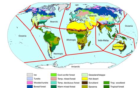 Biogeographic Realms And Biomes Of The World Mapporn Biomes