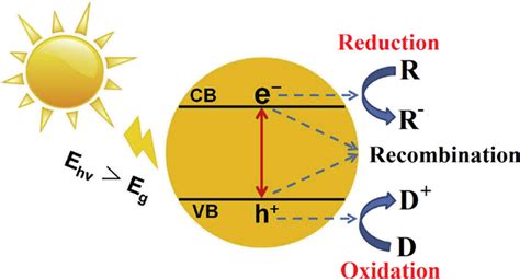 Basic mechanism of ZnO photocatalysis | Download Scientific Diagram