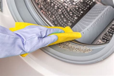 Why Your Washing Machine Smells Like Mildew and How to Fix It