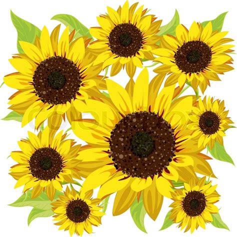 Sunflower Pattern SVG