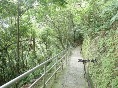 內湖白鷺鷥山親山步道 ，內湖大湖公園旁的森林步道秘境，搭捷運就可以到了直接進入小森林，內湖森林系一日遊