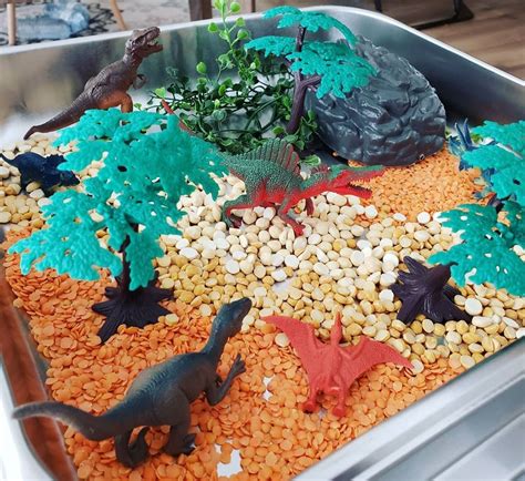 Dinosaur Sensory Bin Spectacokids Speech And Aba Therapy Milton