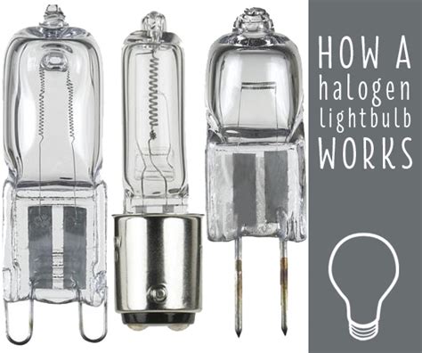 How A Halogen Light Bulb Works Ideas And Advice Lamps Plus