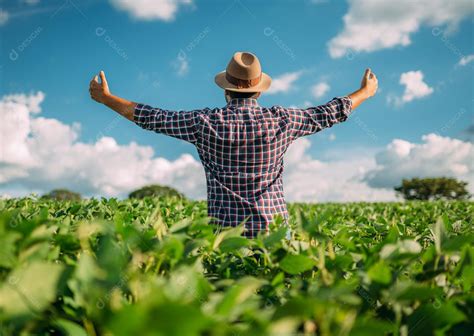 Homem De Costas Para O Espectador Em Um Campo De Soja Agricultor