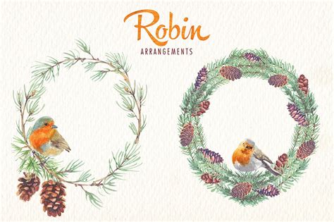 Robin Bird Watercolor Clipart - Design Cuts