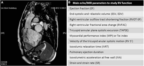 A Magnetic Resonance Imaging Scan Of A Patient With Cctga And