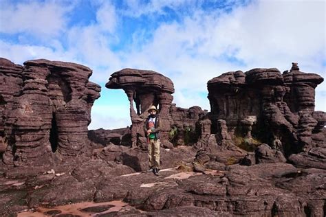 Stunning Angel Falls Roraima Orinoco Delta Rank 1 Tour