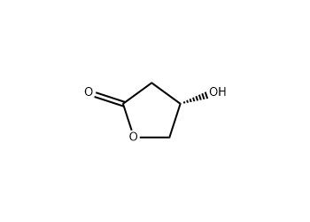 CAS 2420 17 9 S 3 Hydroxy Gamma Butyrolactone