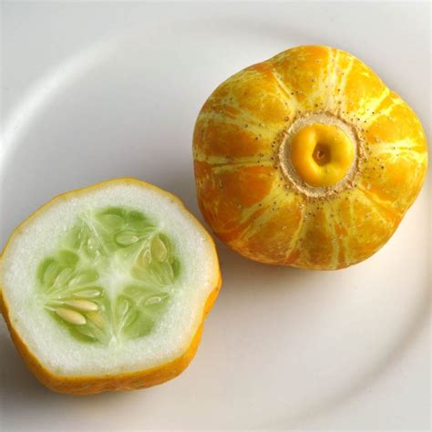 Agurk Crystal Lemon Cucumis Sativus K Kkenhaven Albinus Fr